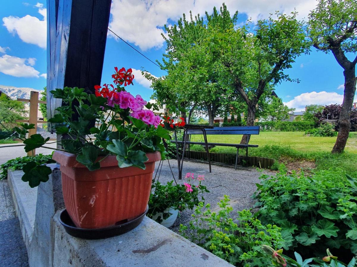 Garden flowers